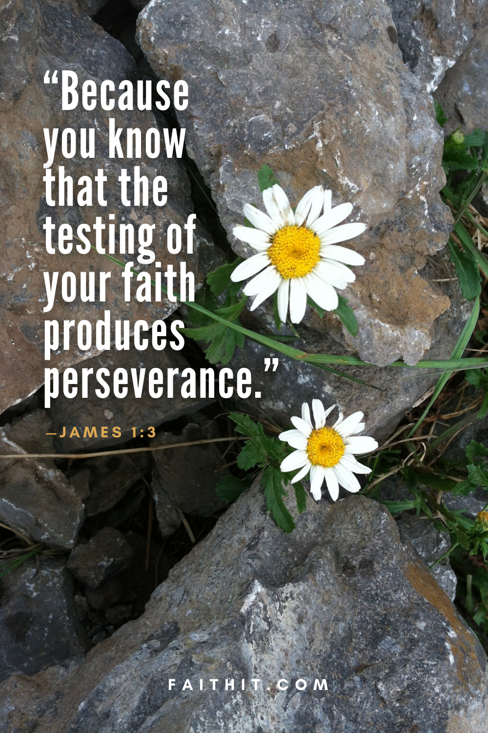 James 1:3 bible verse christian quotes