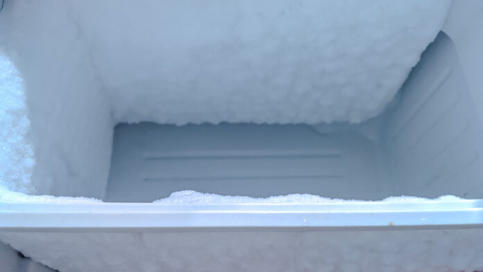body found in a freezer