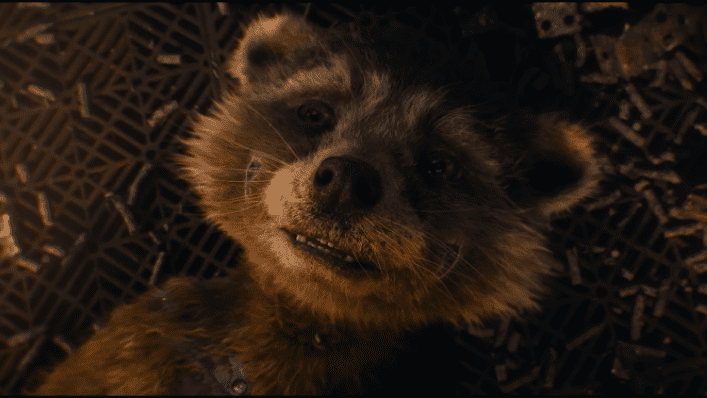 Guardians of the Galaxy 3 Needs a Content Warning for Kids and Animal Lovers
