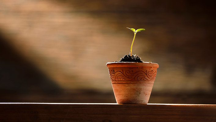 Unveiling Transformative Power: 7 Bible Verses About New Beginnings