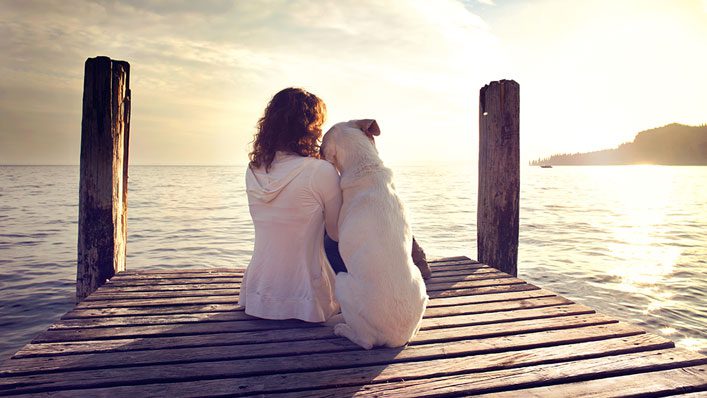 8 Signs Your Pet Might Actually Be a Guardian Angel